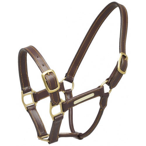 547106 aintree halter leather 357054092